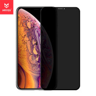 Защитное стекло на iPhone 11 Pro Max Mr.Yes Tiny Engraving Private Glass